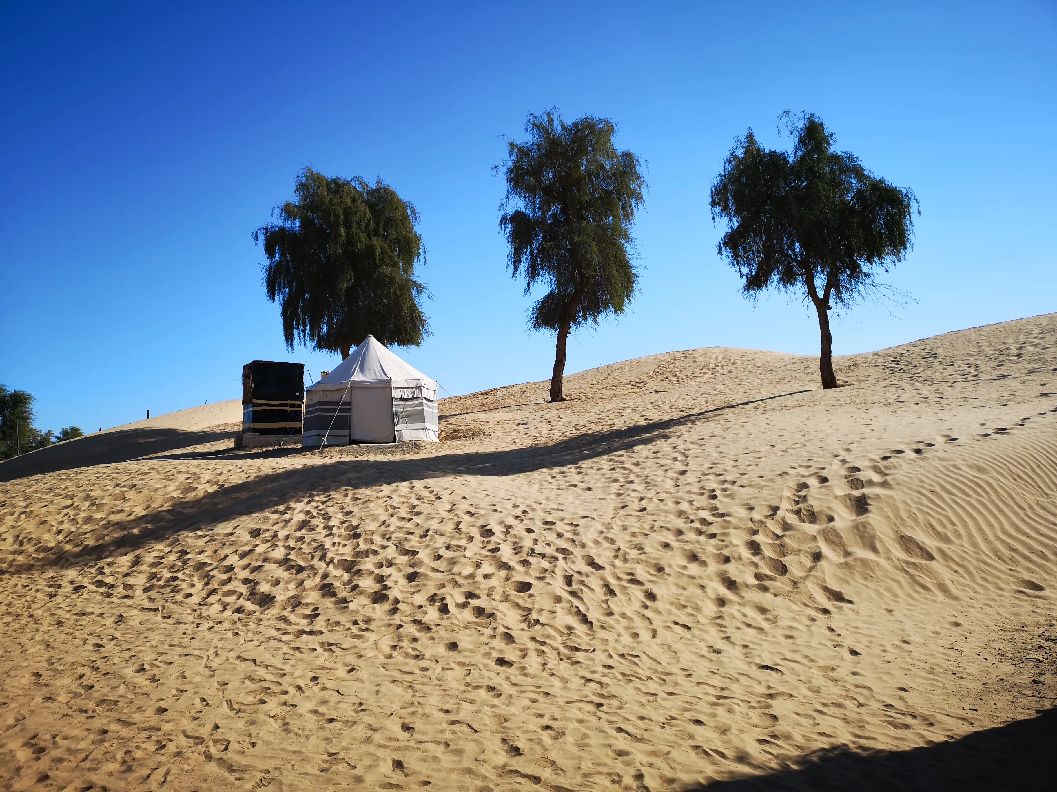 Al-Reem Desert Camp is located at the edge of the desert and accessible by saloon car.